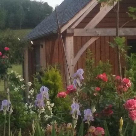 Bed and Breakfast Le Mazet D'Olt Altillac Exterior foto