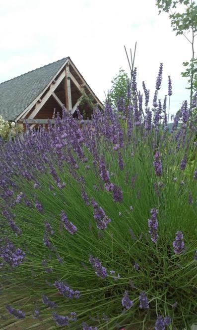 Bed and Breakfast Le Mazet D'Olt Altillac Exterior foto